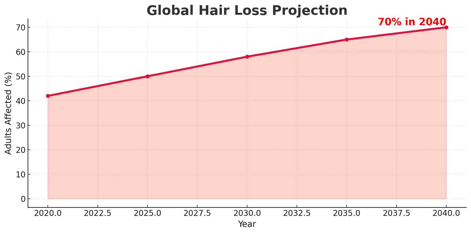 The Alarming Rise of Hair Loss